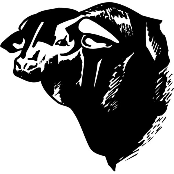 COW007 Thumbnail