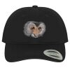 Low-Profile 6245CM Dad Hat Thumbnail