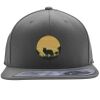 Flexfit 110F Structured Flat Bill Snapback Hat Thumbnail