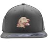 Flexfit 110F Structured Flat Bill Snapback Hat Thumbnail
