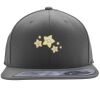 Flexfit 110F Structured Flat Bill Snapback Hat Thumbnail