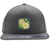 Flexfit 110F Structured Flat Bill Snapback Hat Thumbnail