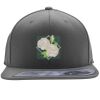 Flexfit 110F Structured Flat Bill Snapback Hat Thumbnail