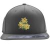 Flexfit 110F Structured Flat Bill Snapback Hat Thumbnail
