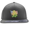 Flexfit 110F Structured Flat Bill Snapback Hat Thumbnail